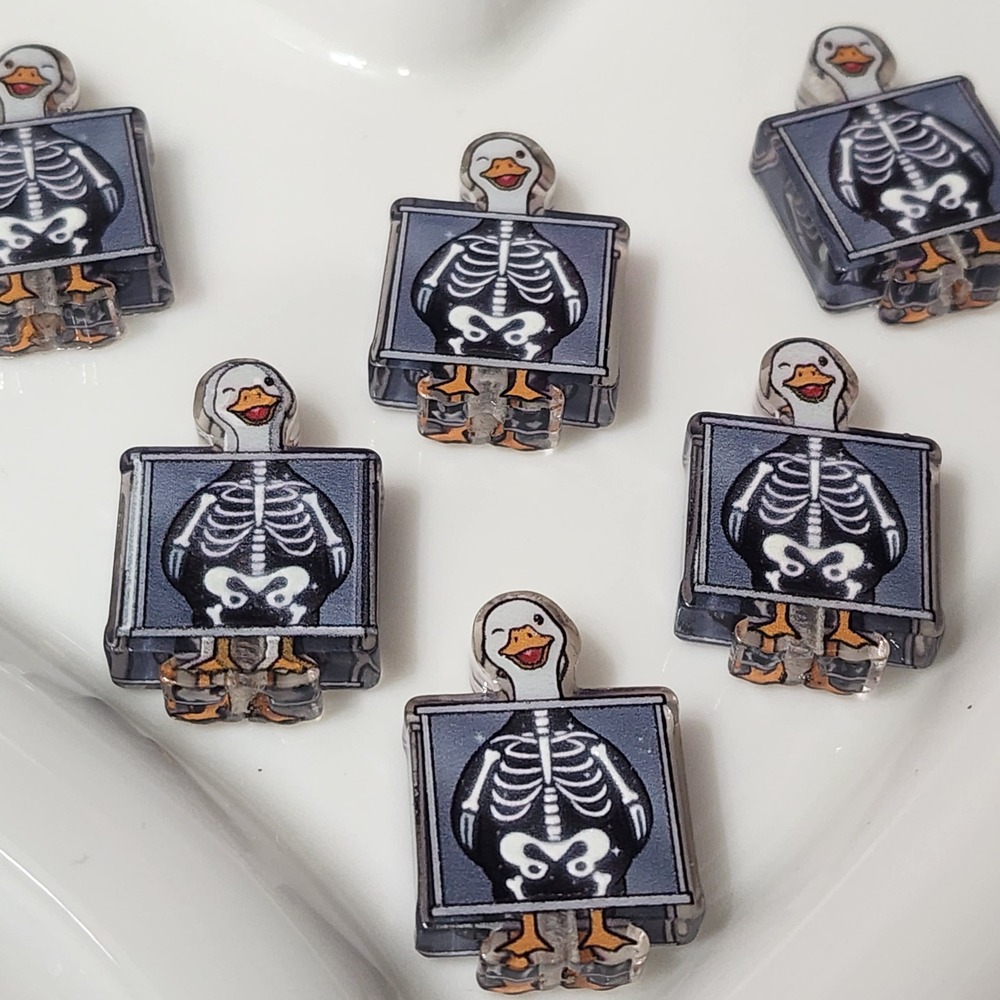 Xray Goose Beads 2 Pcs Focal Beads Beaded Pen Crafts Jewelry Making Acrylic